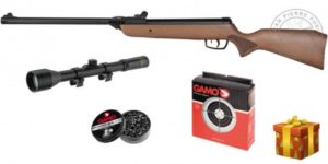 carabine à plomb pack noël